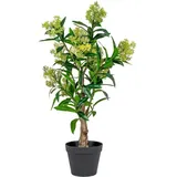 VCM House Nordic, Kunstpflanzen, Skimmia (75 cm
