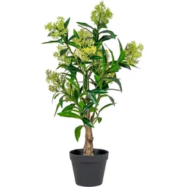 VCM House Nordic, Kunstpflanzen, Skimmia (75 cm