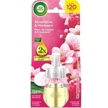 Airwick Raumduft-Nachfüller fruchtig 19 ml, 1 St.