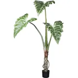 Creativ green Künstliche Zimmerpflanze »Colocasia White Lava«, mit außergewöhnlichem Blattwerk grün