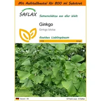 SAFLAX Blumensamen SAFLAX - Garden in the bag -