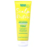 Umberto Giannini Umberto-Giannini Collection Scalp-Restore Anti-Schuppen-Conditioner 250 ml