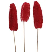 Flowerbox Luffa-Kopf am Stiel - rot