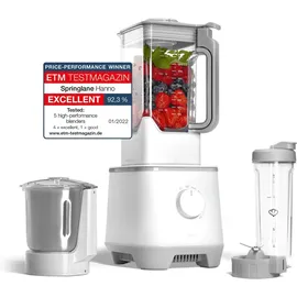 Springlane Hanno Standmixer