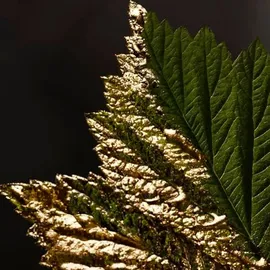 HUGO BOSS Boss Bottled Absolu Parfum Intense 100 ml