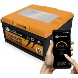 LIONTRON LiFePO4 Untersitzbatterie 300Ah 12,8V 3,84 kWh