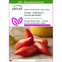 SAFLAX - Tomate - Andenhorn/Cornue des Andes - 10 Samen - Mit keimfreiem Anzuchtsubstrat - Lycopersicon esculentum