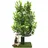 priorpet Kratzbaum groß  grün