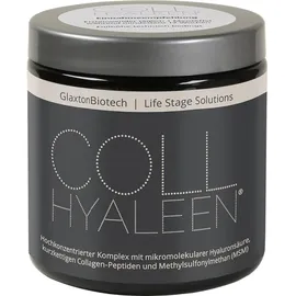 Glaxton Biotech Collhyaleen Pulver 180 g