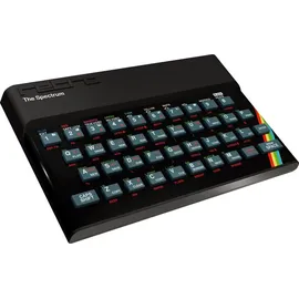 Retro Games The Spectrum Retro-Konsole 48 GB Schwarz + 2 USB Gamepads