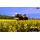 Agrar Simulator 2012 (PC)