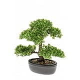 Emerald Kunstpflanze Bonsai Mini-Ficus Grün 32 cm 420002