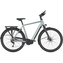 Gazelle Chamonix C5 HMS 2024 28 Zoll RH 53 cm Damen frozen blue