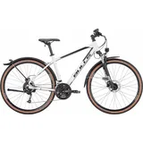 BULL'S BULLS Street Flyer - 28 Zoll 27K Diamant - light grey - XL