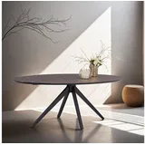 Homestyle4u Esstisch Oval 200 x 76 cm braun
