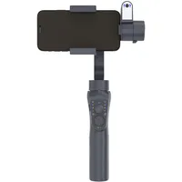 Easypix GoXtreme GX4 Gimbal Schwarz