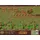 Fields of Glory (PC)