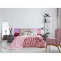 Oedim – Bett aus PVC, 100 x 60 cm, erhältlich in verschiedenen Größen, leicht, elegant, robust und wirtschaftlich.
