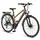 licorne bike gmbh Premium Touring Trekking Bike 28 Zoll RH 48 cm Damen gold