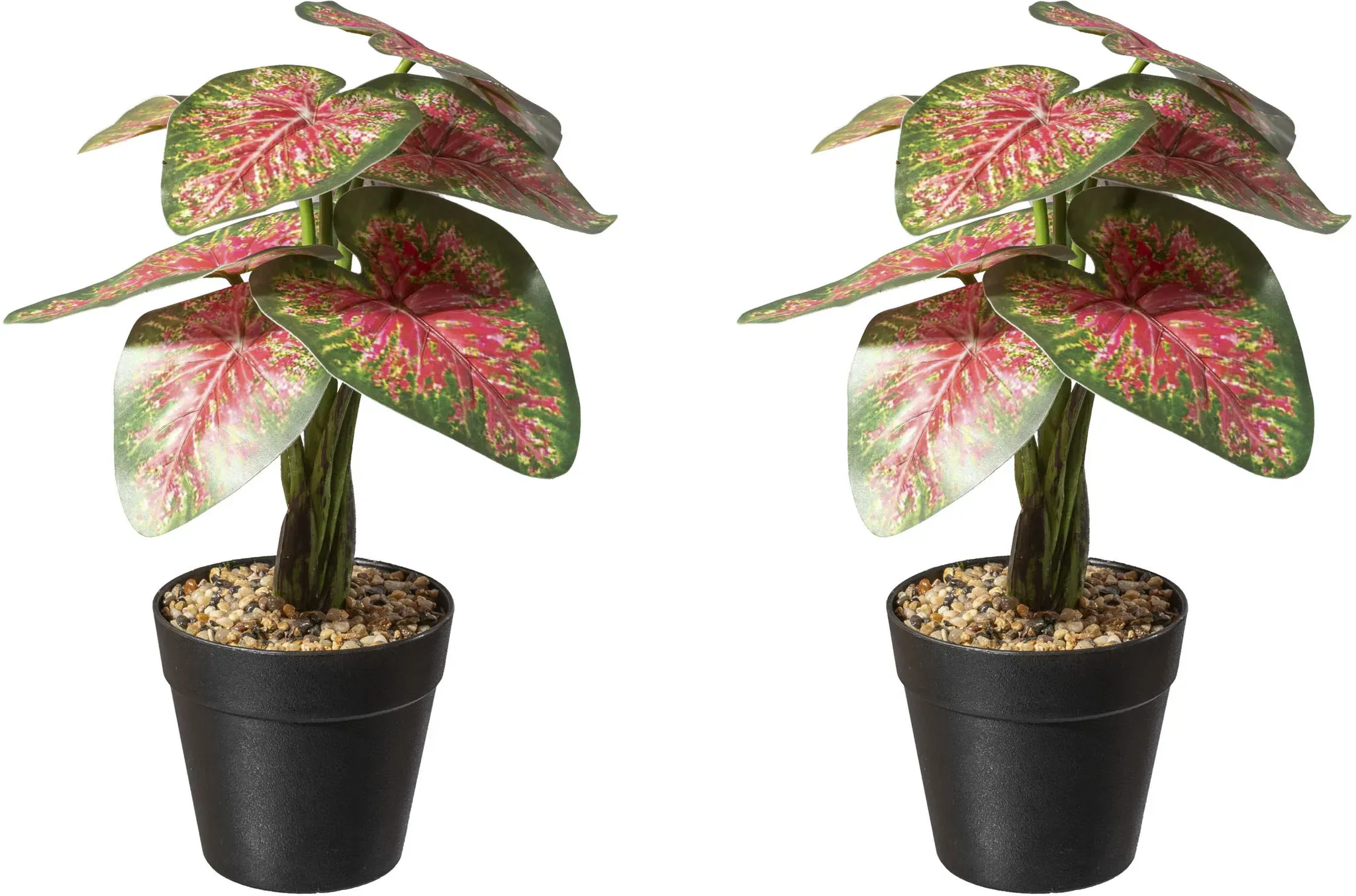 Künstliche Zimmerpflanze CREATIV GREEN "Caladium Pflanze", grün (grün, rot), H:30cm Ø:17cm, Kunststoff, Kunstpflanzen