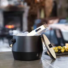 Leopold Vienna Eisbehälter dopelwandig LV243002