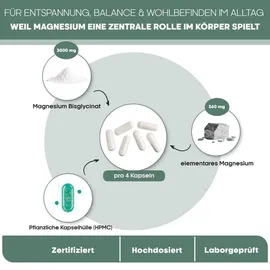 nature spring Magnesium Bisglycinat Kapseln 120 St.