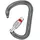 Petzl William Karabinerhaken Grau