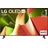 OLED55B49LA 55" 4K OLED Smart TV B4