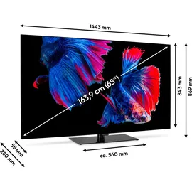 Medion MD865901 65" 3840 x 2160 Pixel OLED 4K Fernseher