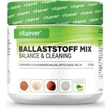 Vit4ever Ballaststoff Mix Pulver 400 g