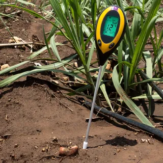 Retoo Feuchtigkeitsmesser Pflanzen für Pflanzen, Bodentester pH Meter Feuchtigkeitsmessgerät Bauernhof Boden Garten Rasen Temperatur Wert, Tester Bauernhof