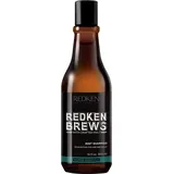 Redken Brews Mint 300 ml