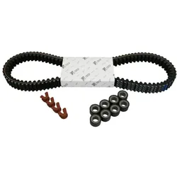 Reparatur- / Wartungskit Variomatik Piaggio MP3 Business / Sport 500cc