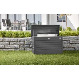 Biohort Freizeitbox 100 Dunkelgrau-Metallic
