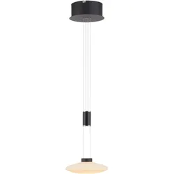 PAUL NEUHAUS Pendelleuchte "LAUTADA", schwarz, Ø 23cm, Lampen, LED, dimmbar, Simply Dim, Memory, nach Trennung vom Netz