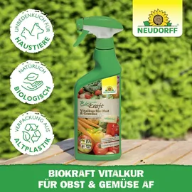 NEUDORFF BioKraft Vitalkur für Obst und Gemüse AF 500 ml