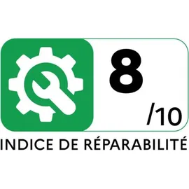 Rowenta RH6A21WO Edelstahl/Violett