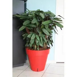 riviera system Riviera Ø 50 x 46 cm Rot