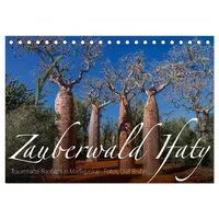 Calvendo Zauberwald Ifaty · Traumhafte Baobabs in Madagaskar (Tischkalender