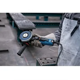 Bosch GWS 17-125 PS Professional 06017D1300