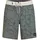O'Neill Badeshorts Hyperfreak Mysto Scallop Mulled Basil 36