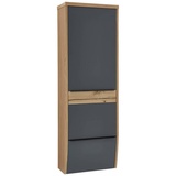 DIETER KNOLL Garderobenschrank, Grau, Eiche, furniert, massiv, 1 Fächer, 64x187x31 cm, Made in Germany, Goldenes M, DGM-Klimapakt, Beimöbel erhältlich, Typenauswahl, wandhängend, Garderobe, Garderobenschränke, Garderobenschränke