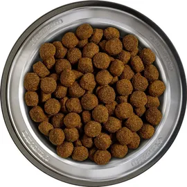 Belcando Baseline Ranger - 12,5kg