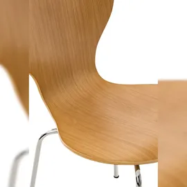 CLP Diego 2 St. eiche