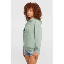 O'Neill Summer Musthave Hoodie Marble Arch S