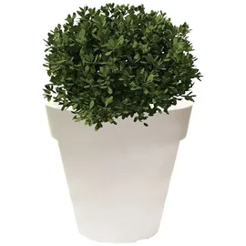 Wellhome ale-x Ø 60 x 55 cm Weiß