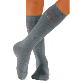 H.I.S. Kniestrümpfe H.I.S, Mädchen, Gr. 27-30, grau (schwarz, anthrazit, hellgrau, grau), Baumwolle, Elasthan (LYCRA), Polyamid, unifarben, elastisch, Socken Kniestrümpfe, mit verstärkten Belastungszonen
