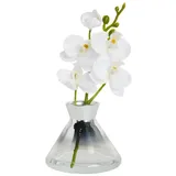 Künstliche Zimmerpflanze Kleine, künstliche Orchidee, Next weiß