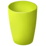 Rotho Trinkbecher grün 0,25 Liter