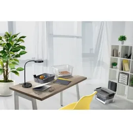 CEP Aufbewahrungsbox combi-box 18 l 1-tlg. grau/transparent
